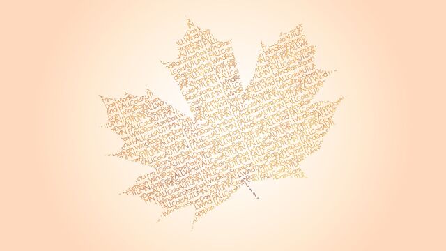 Обои 2025-10-13 №72176