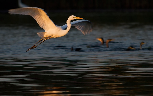 Обои 2025-10-13 №72188