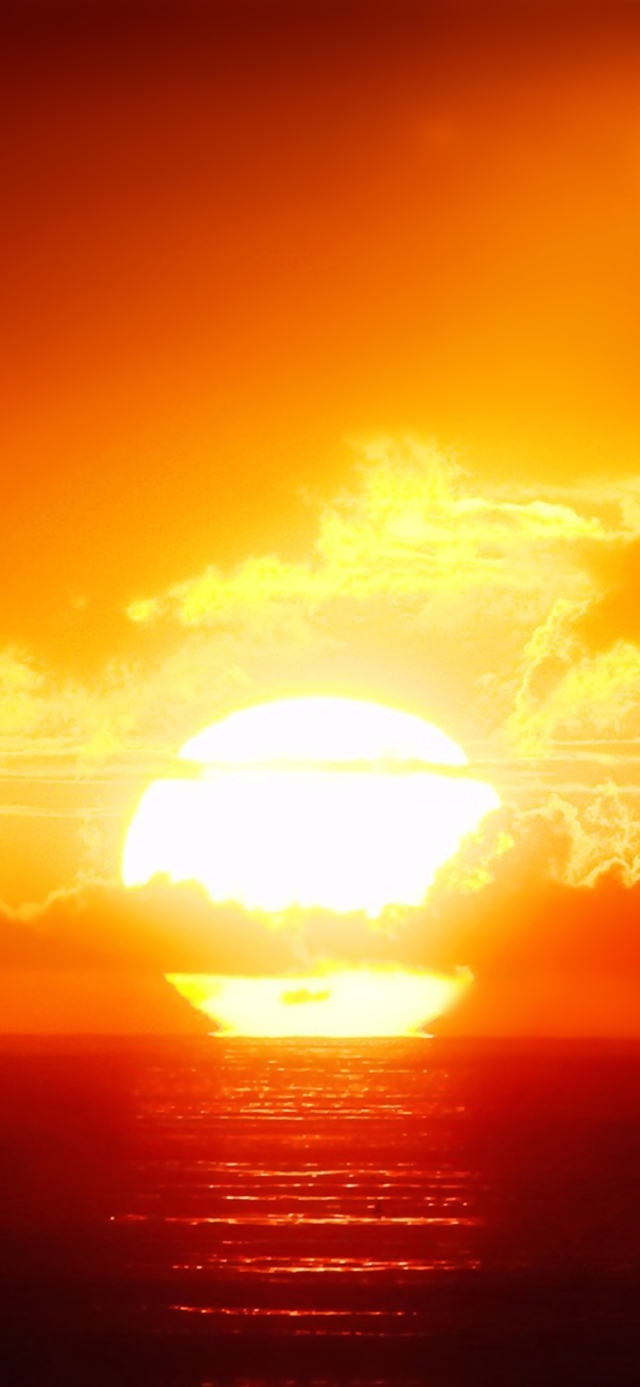 Обои 2025-10-15 №72320