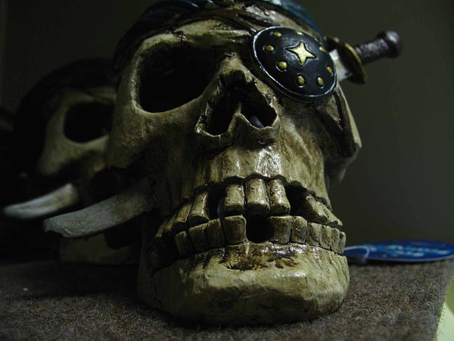 Обои 2025-10-15 №72328