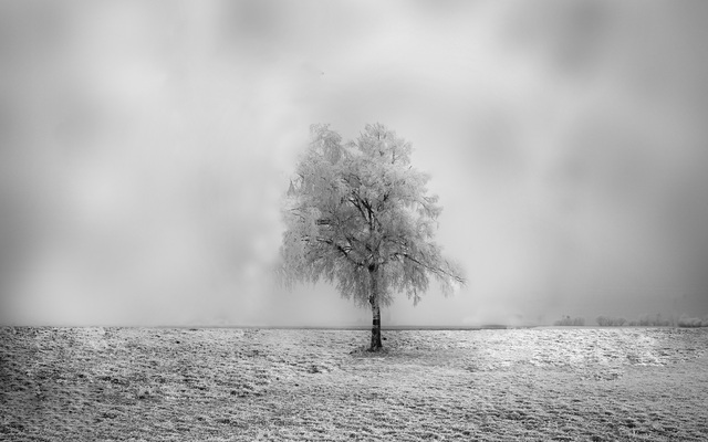 Обои 2025-10-15 №72342