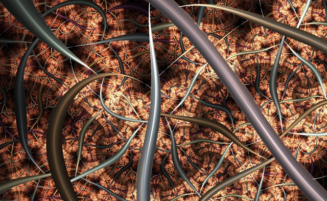 Обои 2025-10-16 №72490