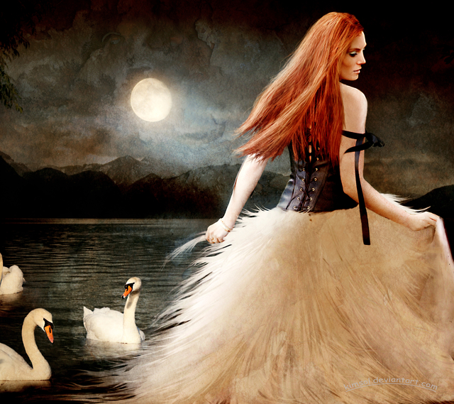 Обои 2025-10-17 №72503