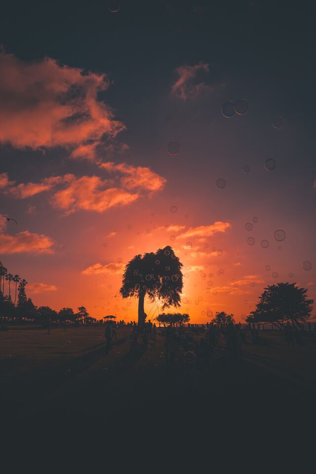 Обои 2025-10-17 №72526