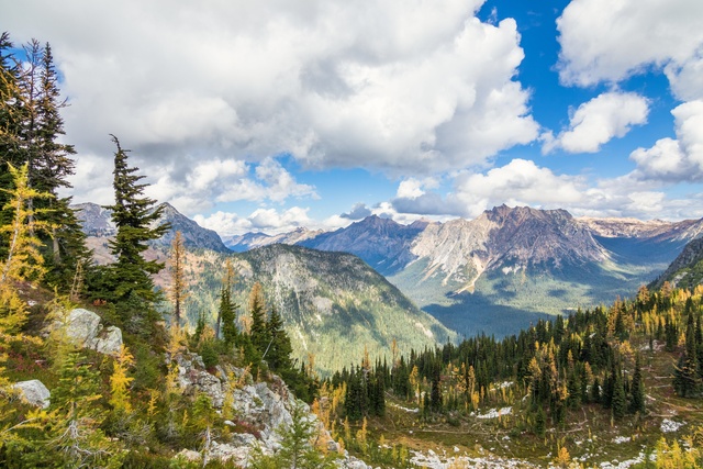 Обои 2025-10-19 №72706