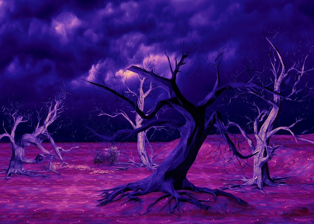 Обои 2025-10-20 №72743