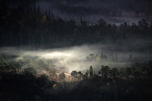 Обои 2025-10-20 №72769