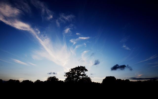 Обои 2025-10-20 №72779