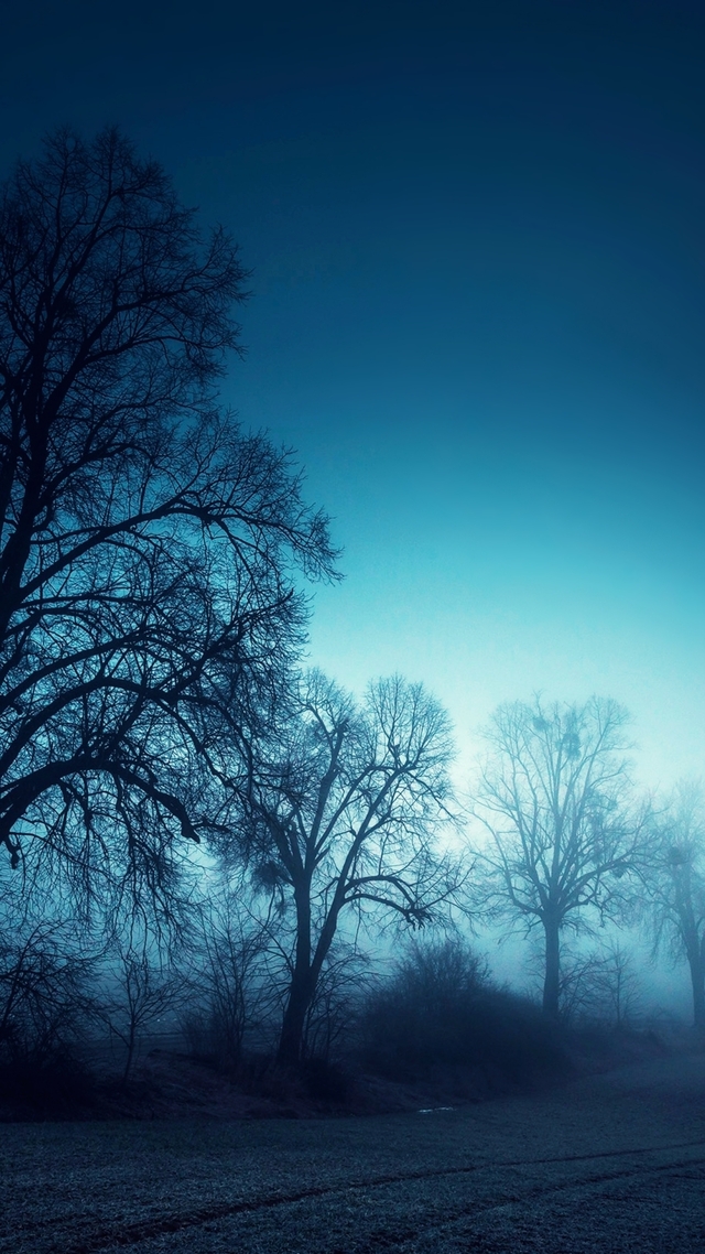 Обои 2025-10-20 №72786