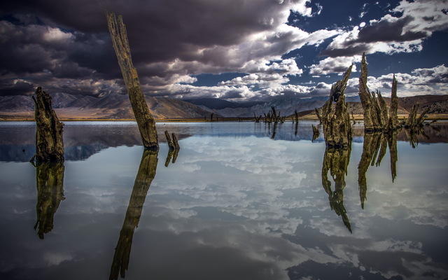 Обои 2025-10-20 №72796