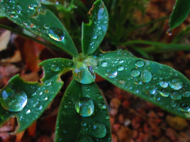 Обои 2025-10-20 №72813