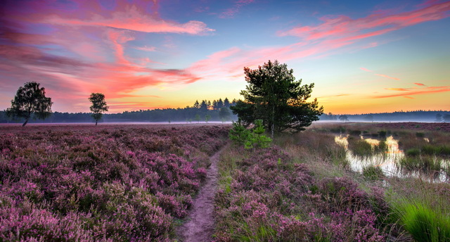 Обои 2025-10-20 №72811