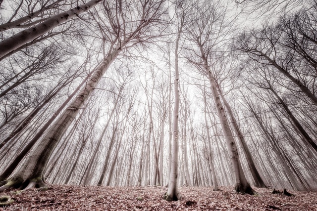 Обои 2025-10-21 №72855