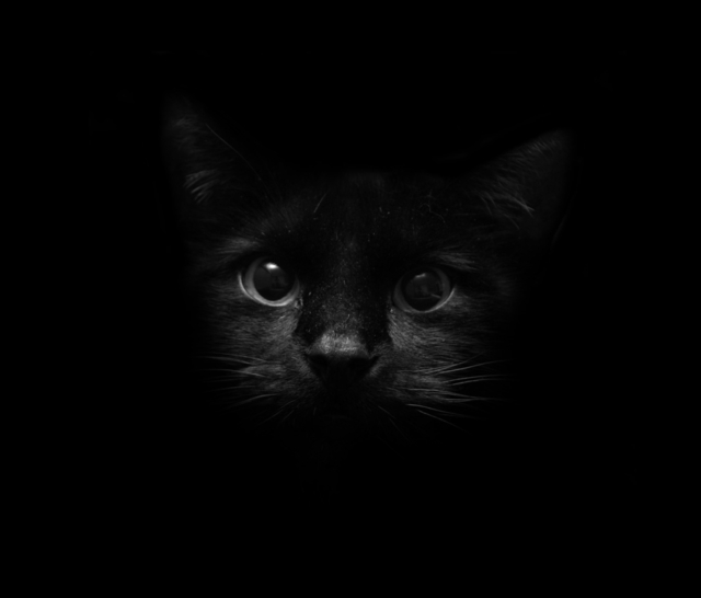 Обои 2025-10-21 №72861