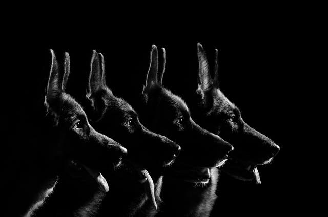 Обои 2025-10-21 №72870