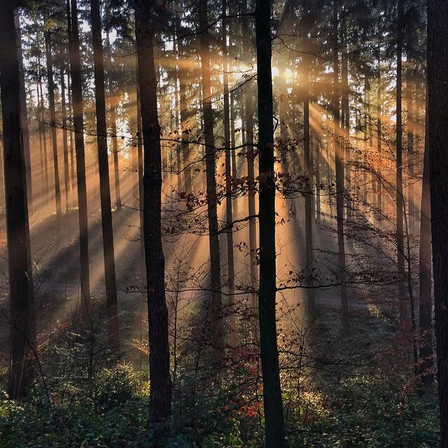 Обои 2025-10-22 №72903