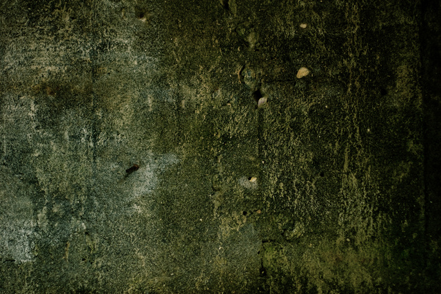 Обои 2025-10-22 №72921