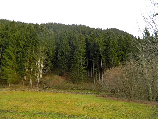 Обои 2025-10-22 №72914