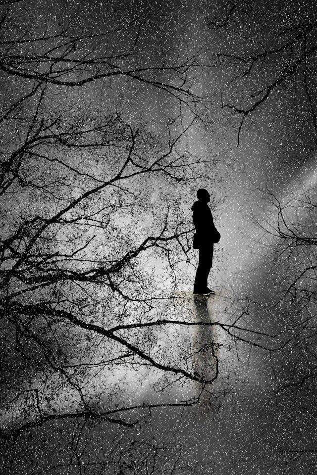 Обои 2025-10-22 №72924