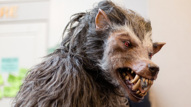 Обои 2025-10-22 №72945