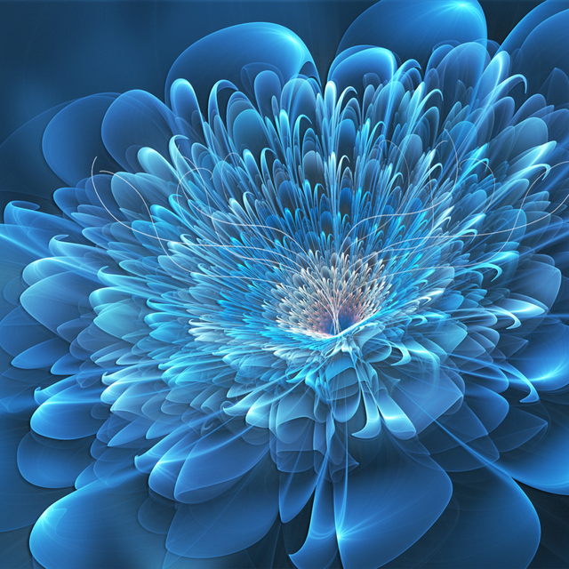 Обои 2025-10-22 №72968