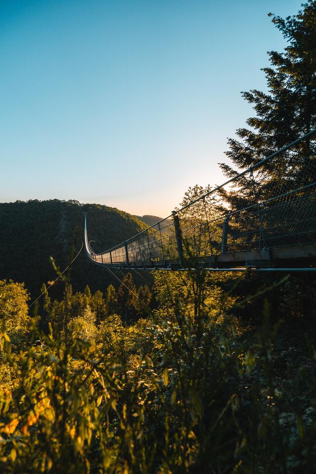 Обои 2025-10-22 №72959