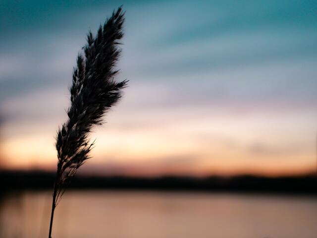 Обои 2025-10-22 №72978