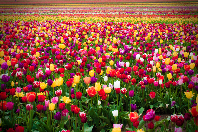 Обои 2025-10-23 №72987