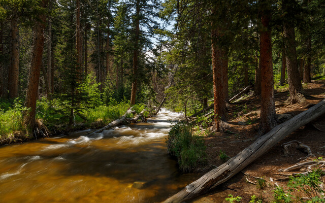 Обои 2025-10-23 №72985