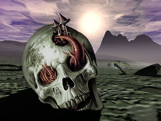 Обои 2025-10-23 №72994