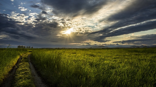 Обои 2025-10-23 №73002