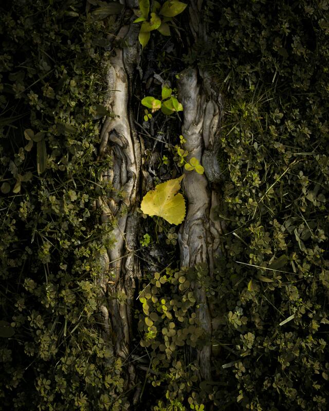 Обои 2025-10-23 №73026