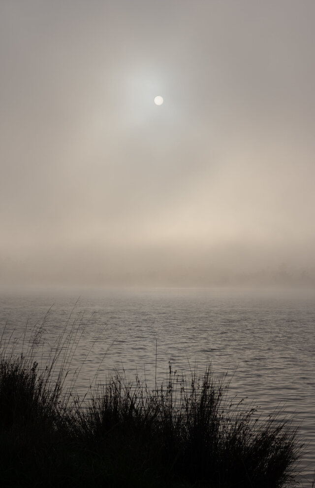 Обои 2025-10-24 №73093