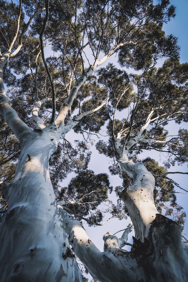 Обои 2025-10-24 №73119