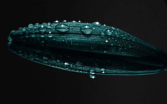 Обои 2025-10-24 №73138