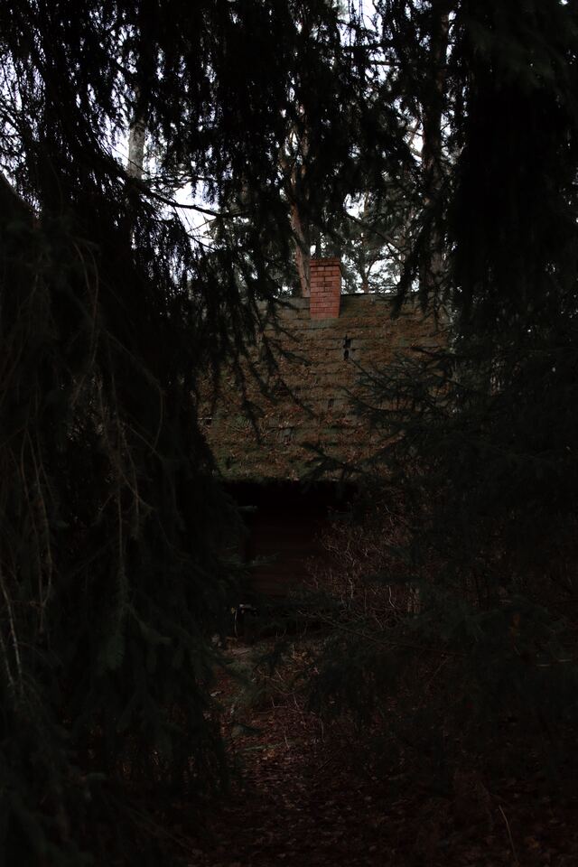 Обои 2025-10-24 №73134