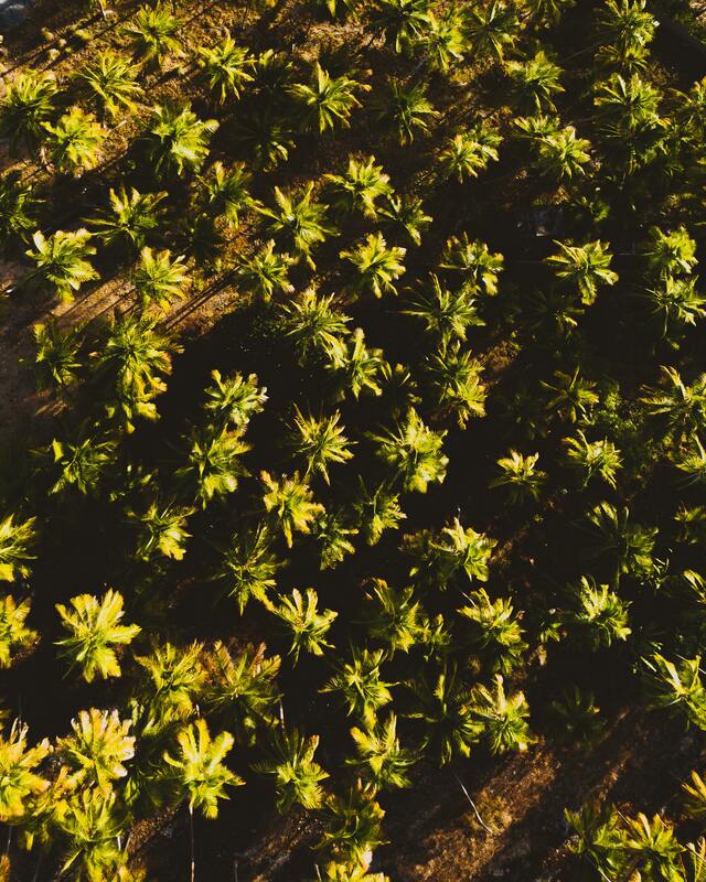 Обои 2025-10-25 №73162