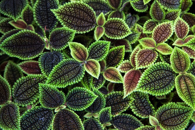 Обои 2025-10-25 №73205