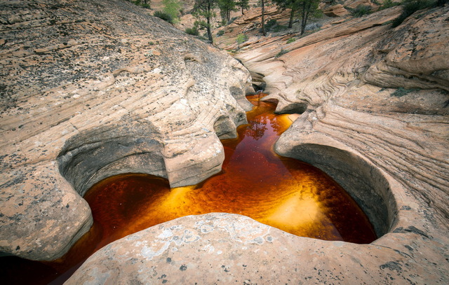 Обои 2025-10-26 №73255