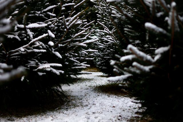 Обои 2025-10-26 №73297