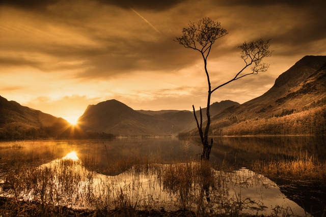 Обои 2025-10-28 №73373