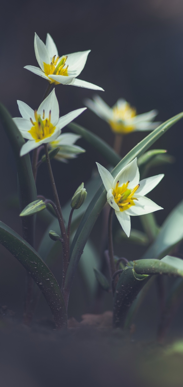 Обои 2025-10-28 №73387