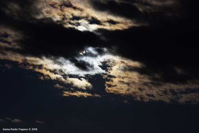 Обои 2025-10-28 №73418