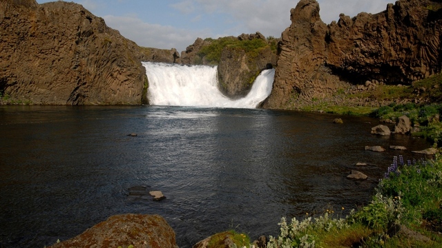 Обои 2025-10-28 №73432