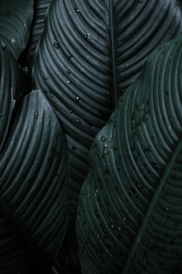 Обои 2025-10-29 №73456