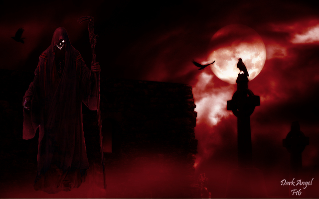 Обои 2025-10-29 №73483