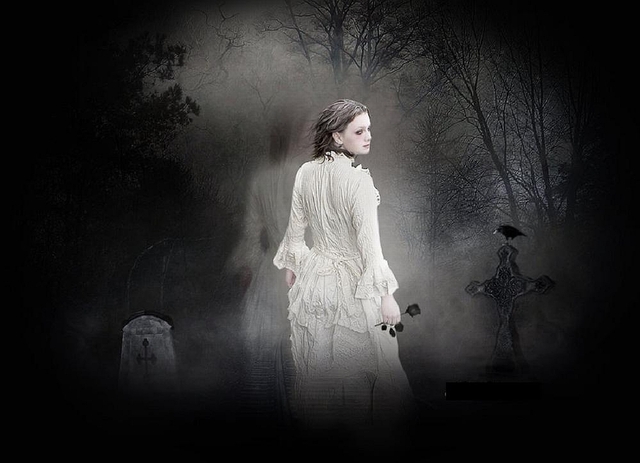 Обои 2025-10-29 №73481