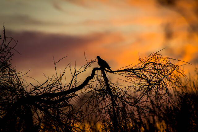 Обои 2025-10-29 №73500