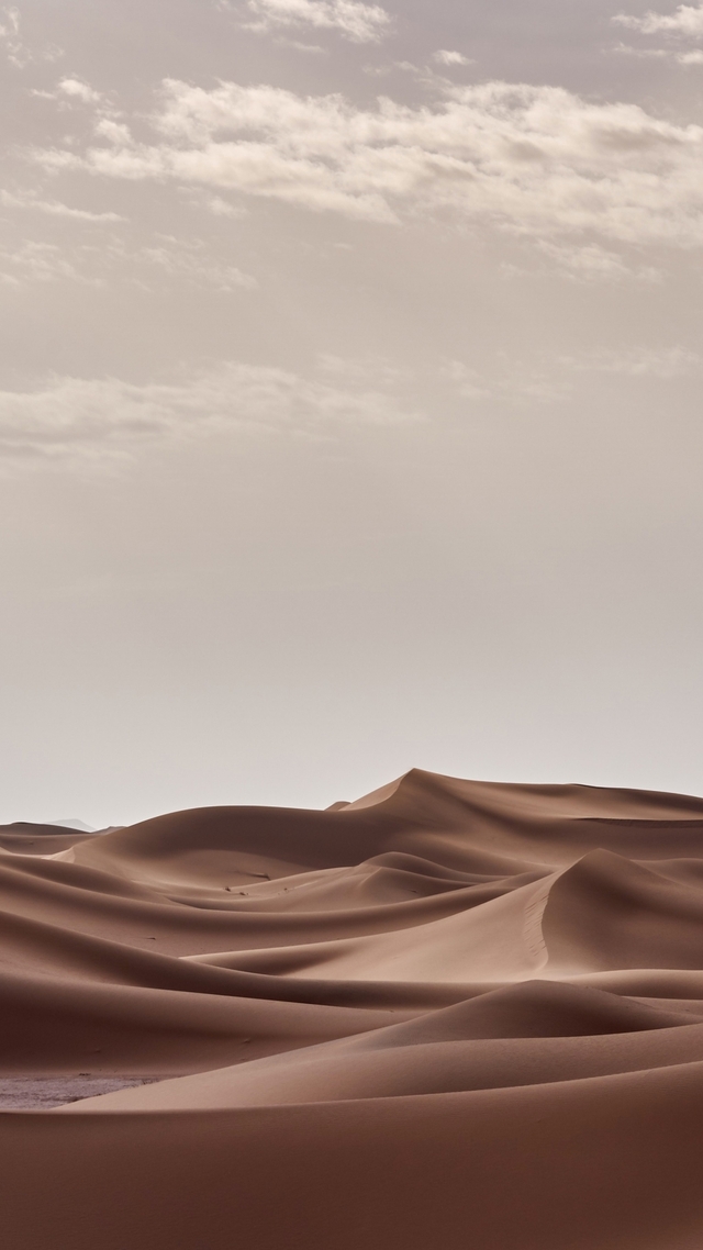 Обои 2025-10-29 №73509