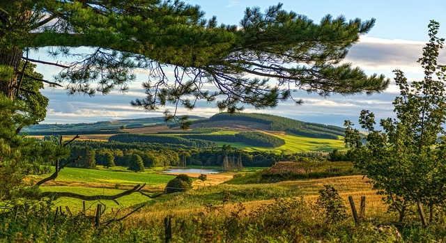 Обои 2025-10-30 №73550